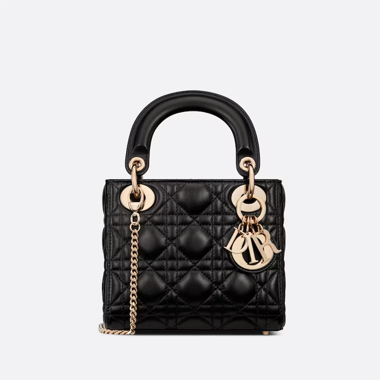 Dior bag