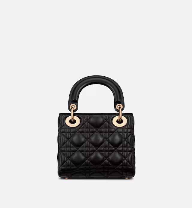 Dior bag