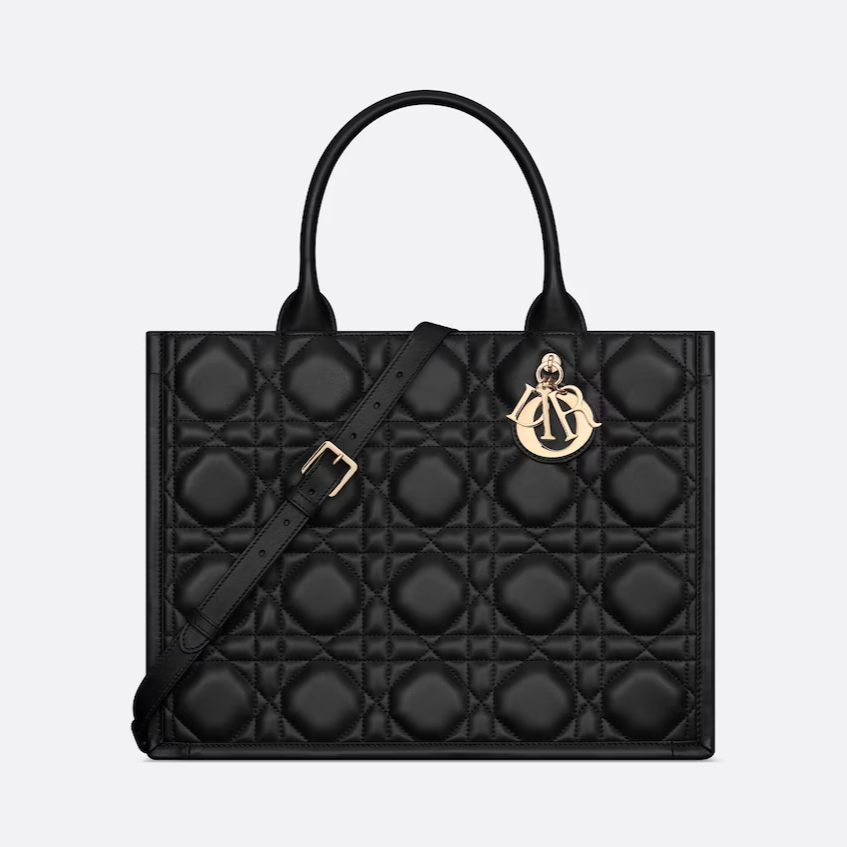 Dior tote bag