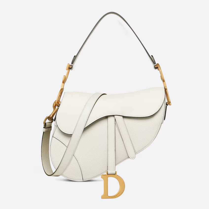 Dior saddle bag