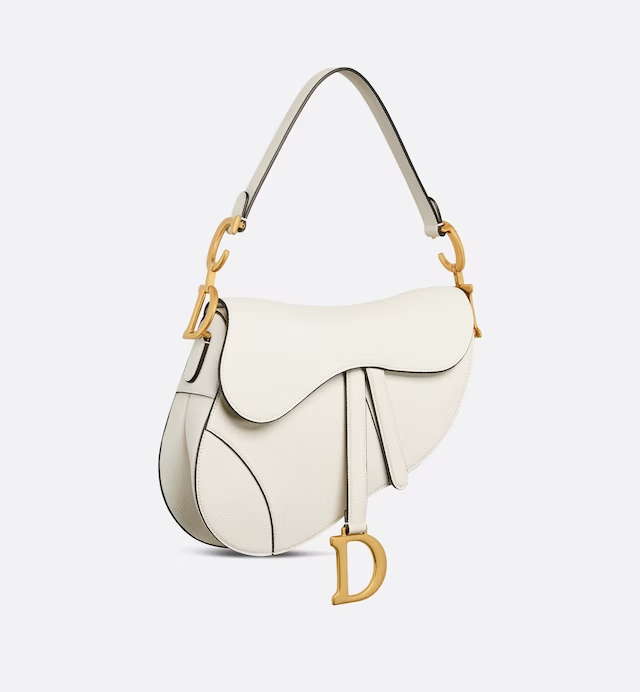 Dior saddle bag