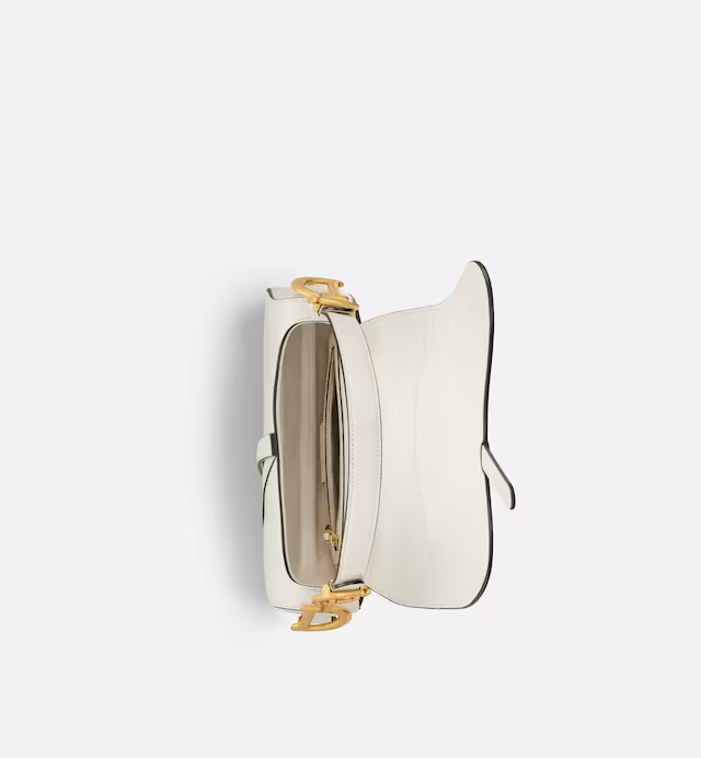 Dior saddle bag