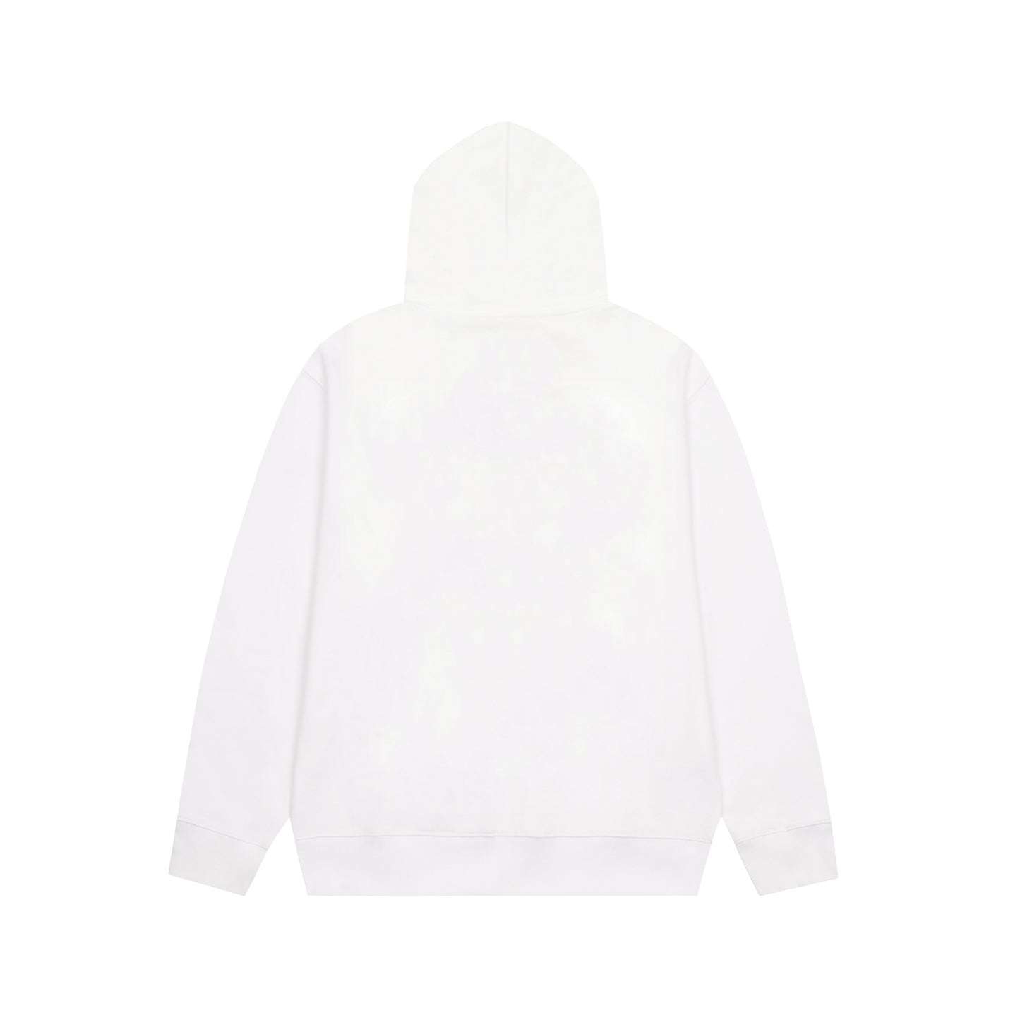 Dior hoodie