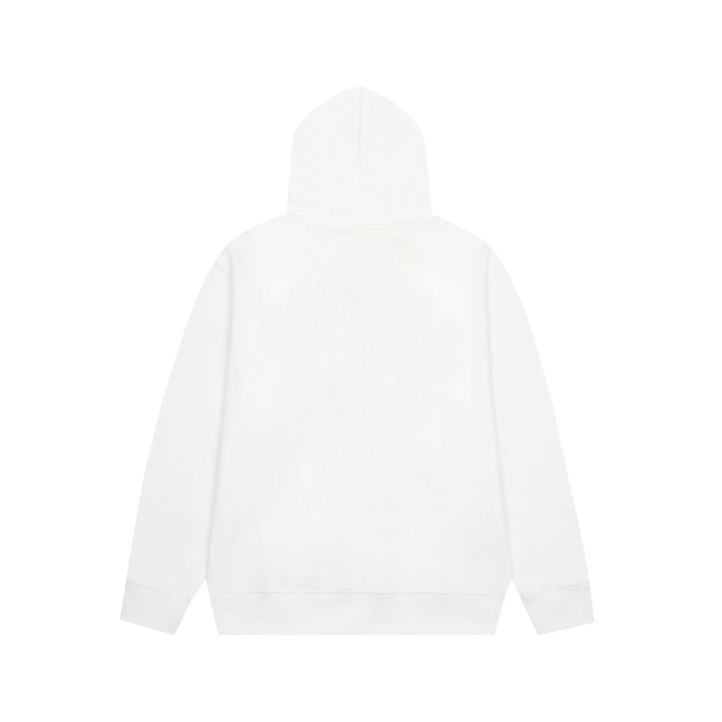 Dior hoodie