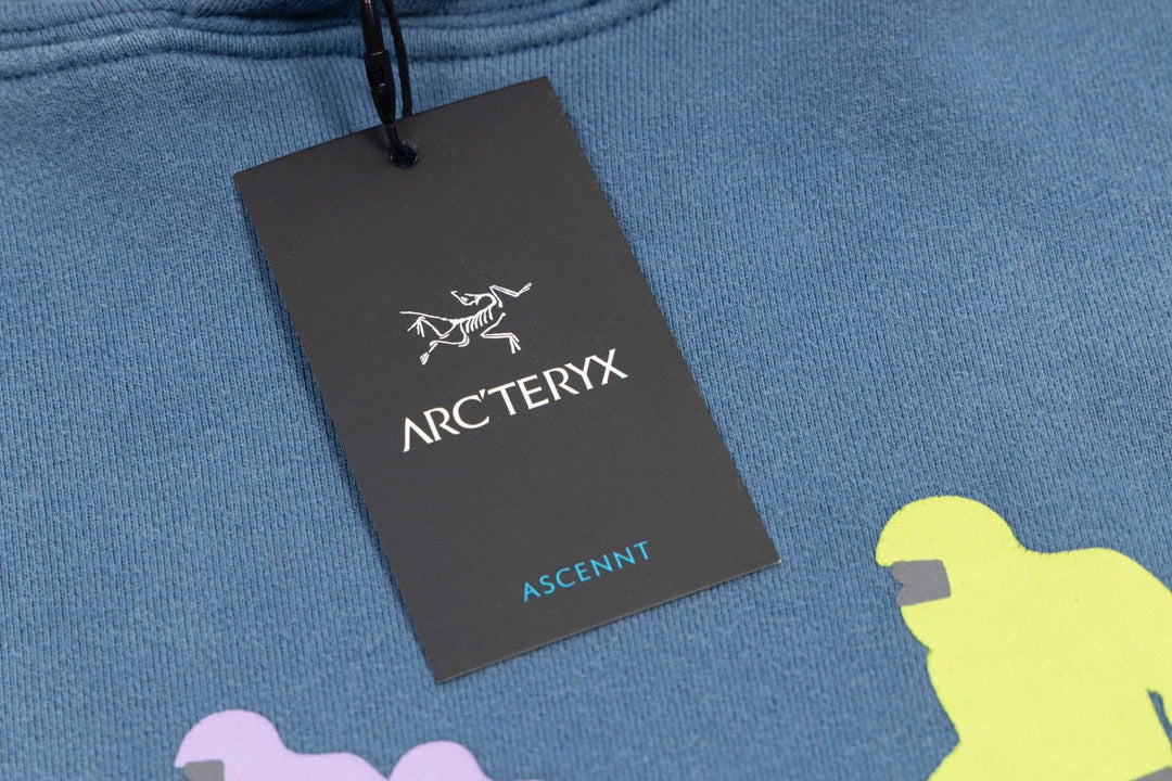 Arc'teryx hoodie