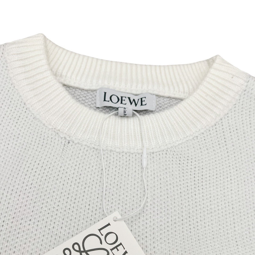 Loewe sweater