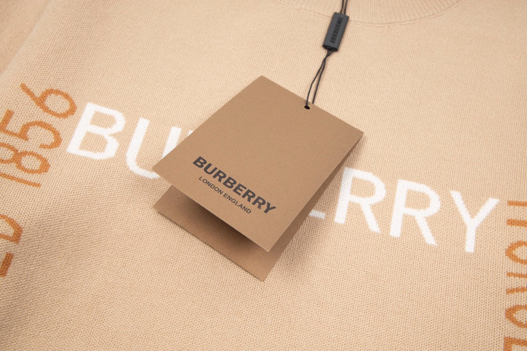 Burberry hoodie