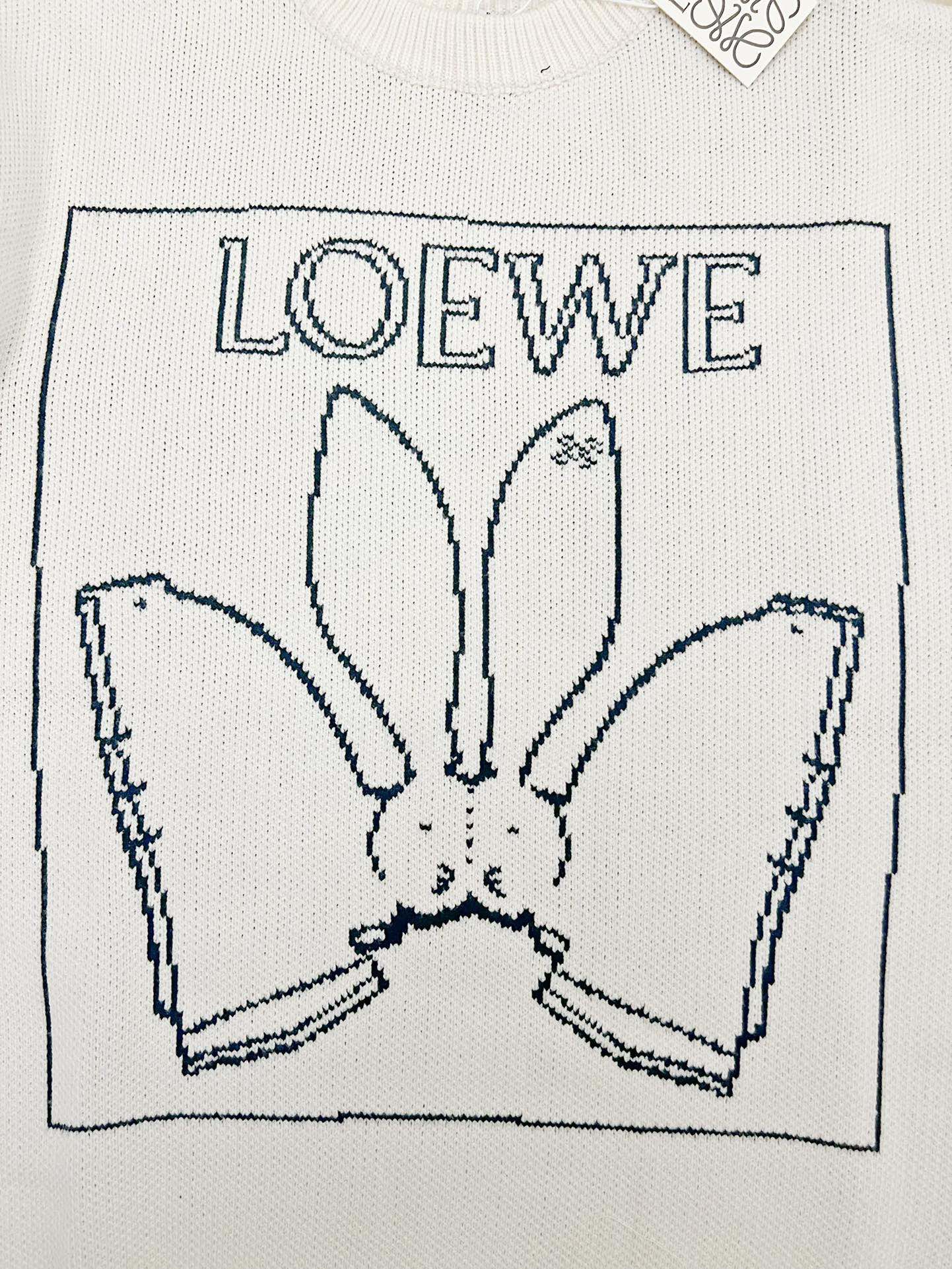 Loewe sweater