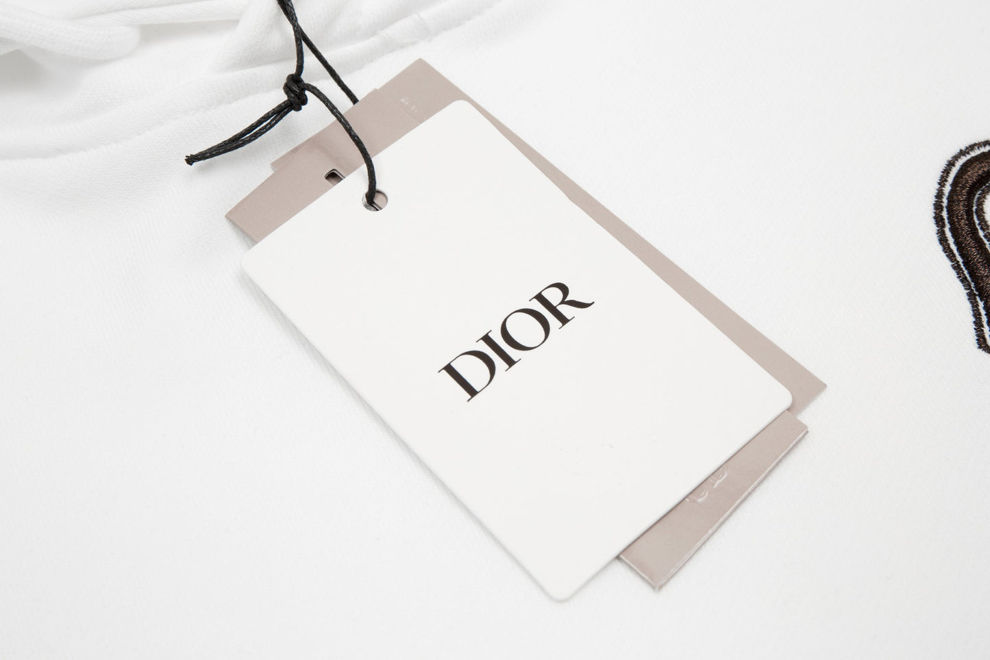 Dior hoodie