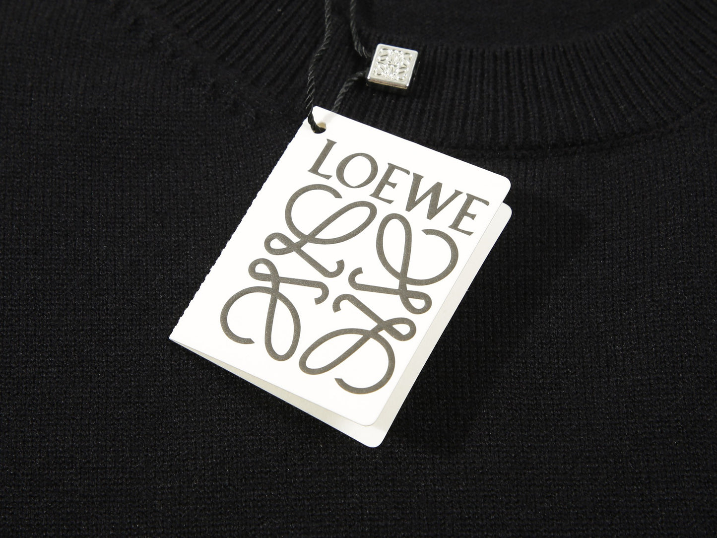 Loewe hoodie