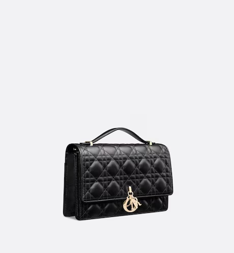 Dior shoulder bag