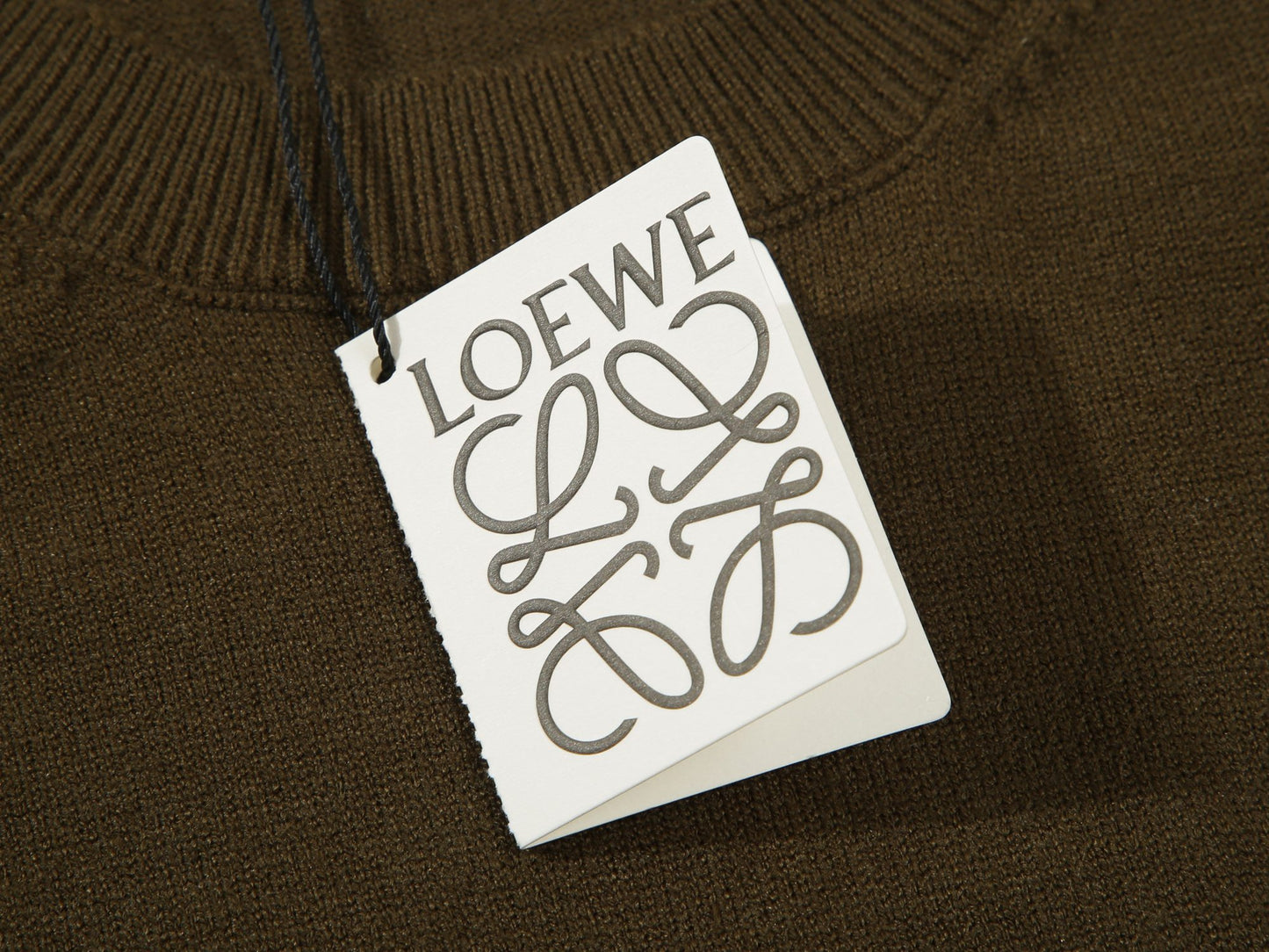 Loewe sweater