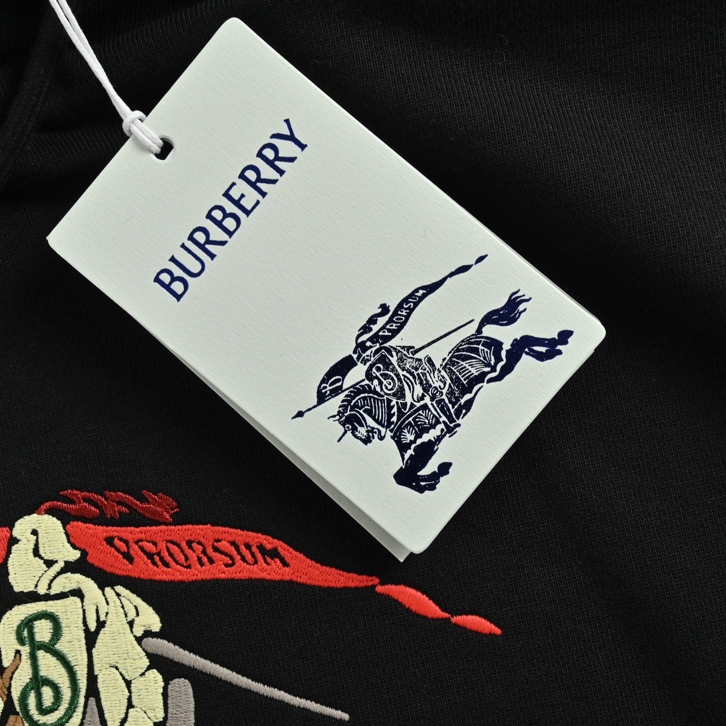 Color-printed warhorse embroidered hoodie