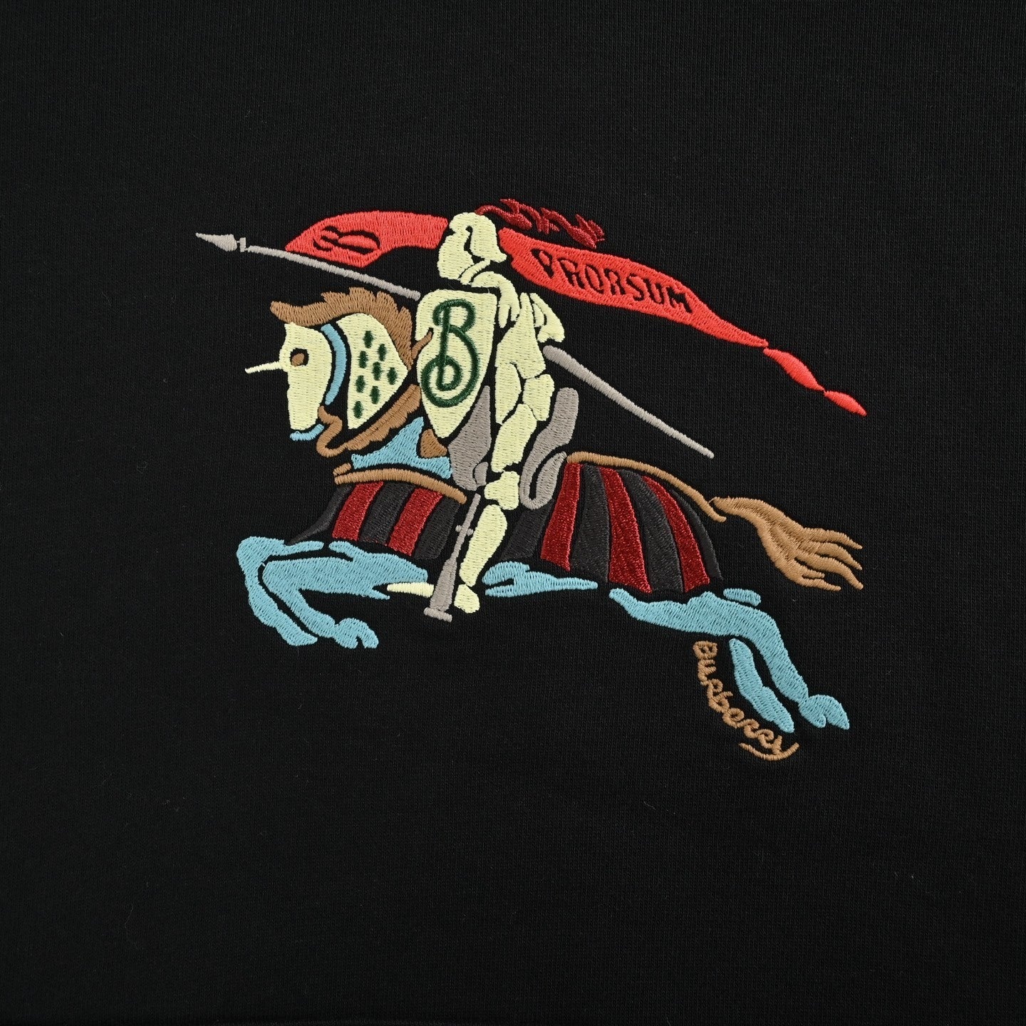 Color-printed warhorse embroidered hoodie