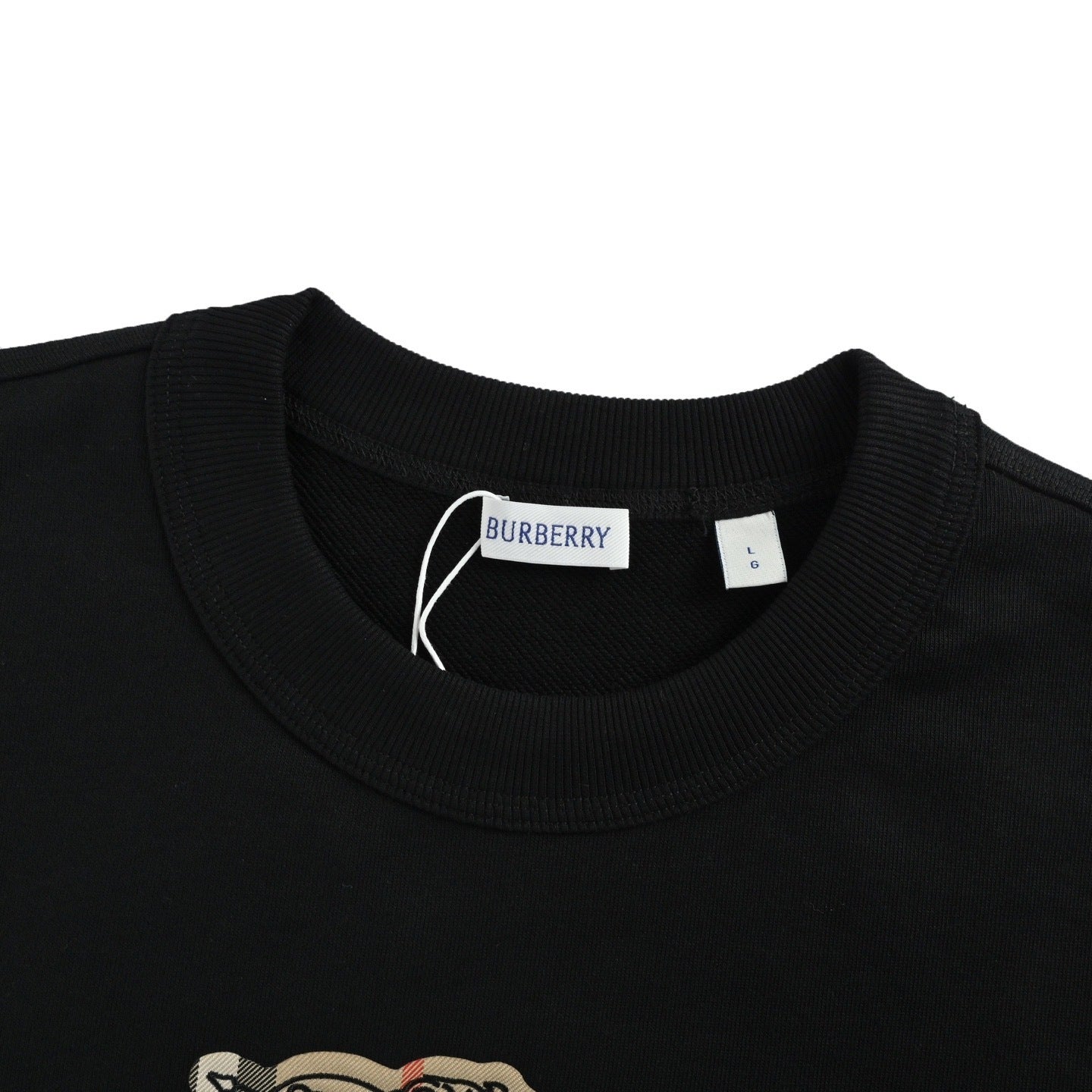 Embroidered Crewneck Sweatshirt