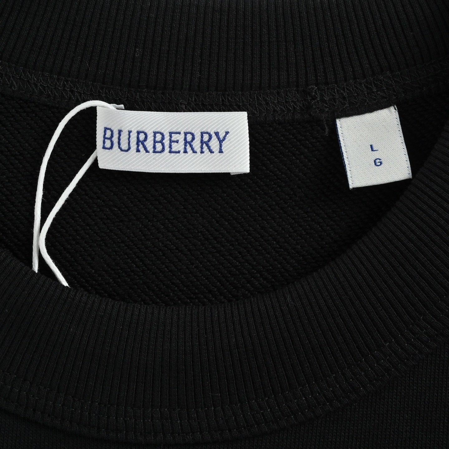 Embroidered Crewneck Sweatshirt