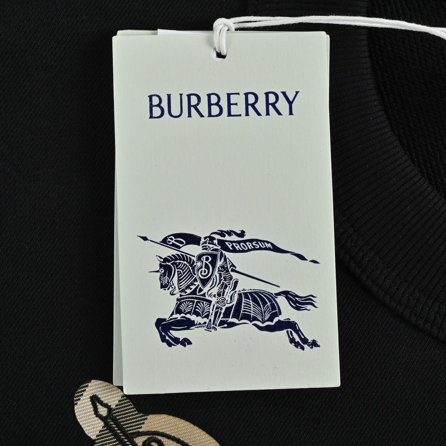 Embroidered Crewneck Sweatshirt