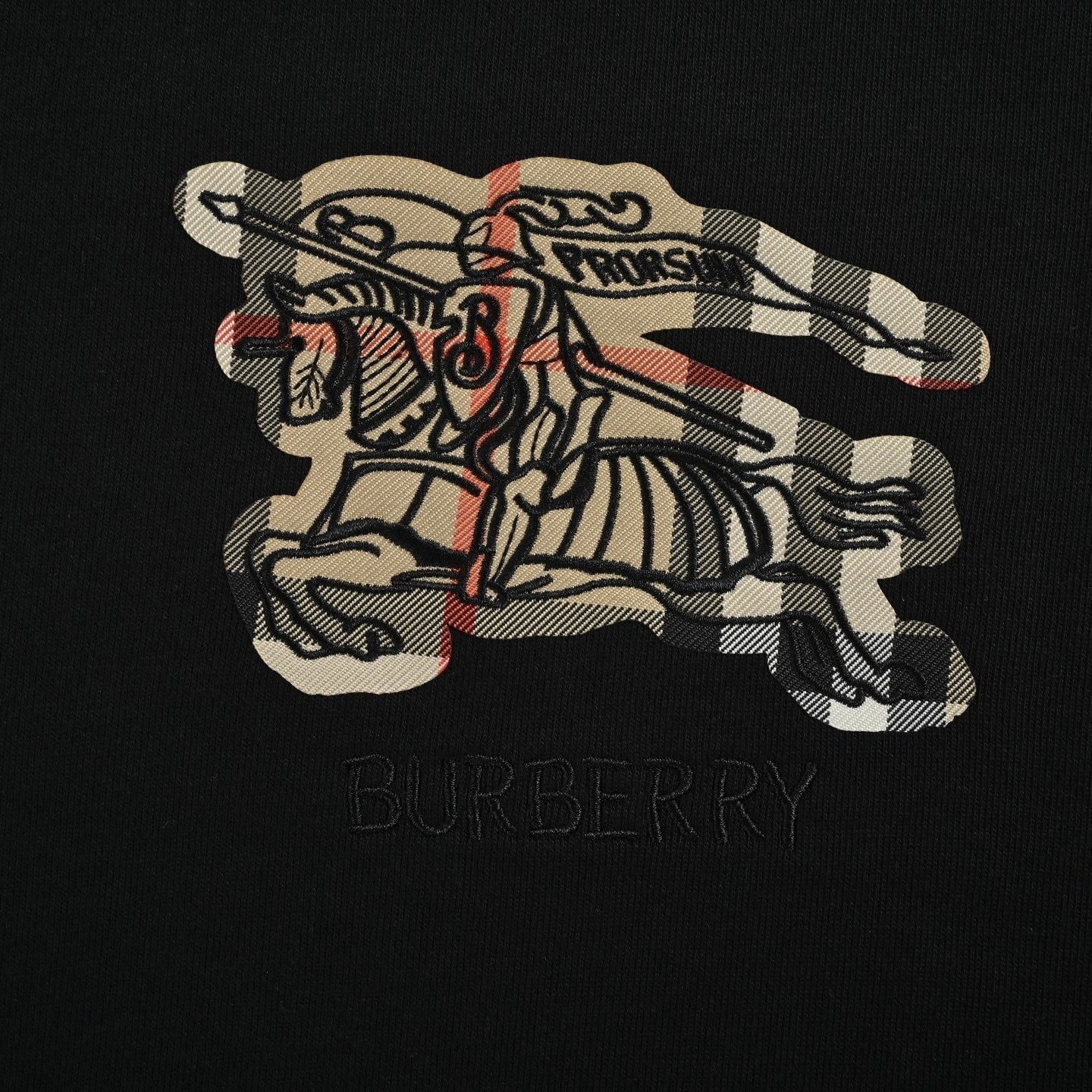 Embroidered Crewneck Sweatshirt