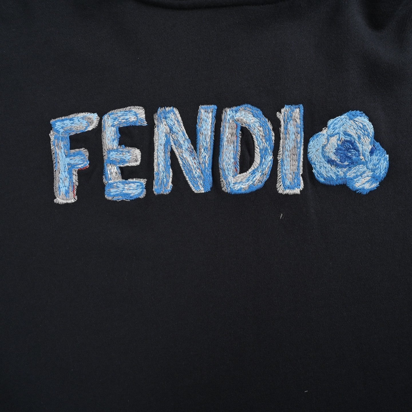 Blue Letter Embroidered Hooded Sweatshirt