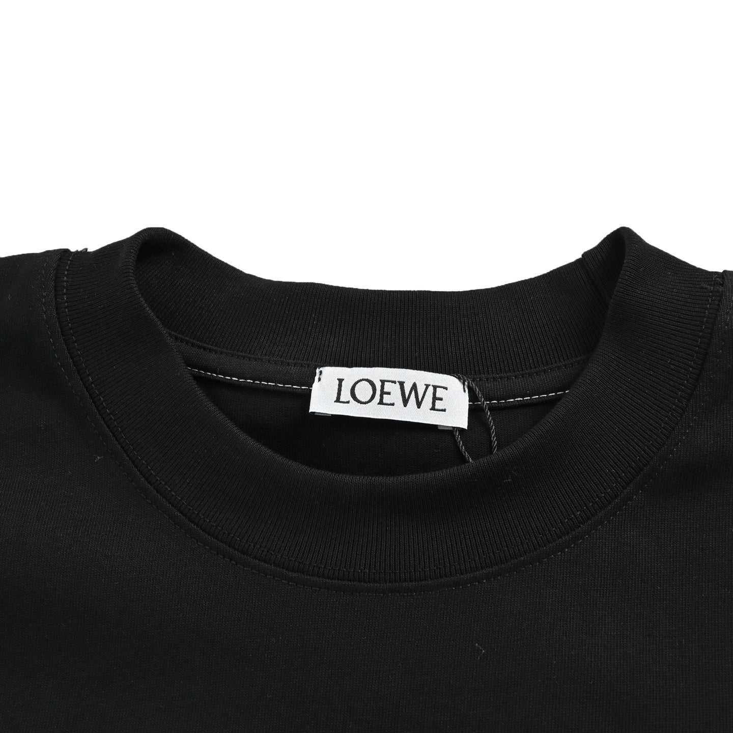 Animal Line Embroidery T-shirt