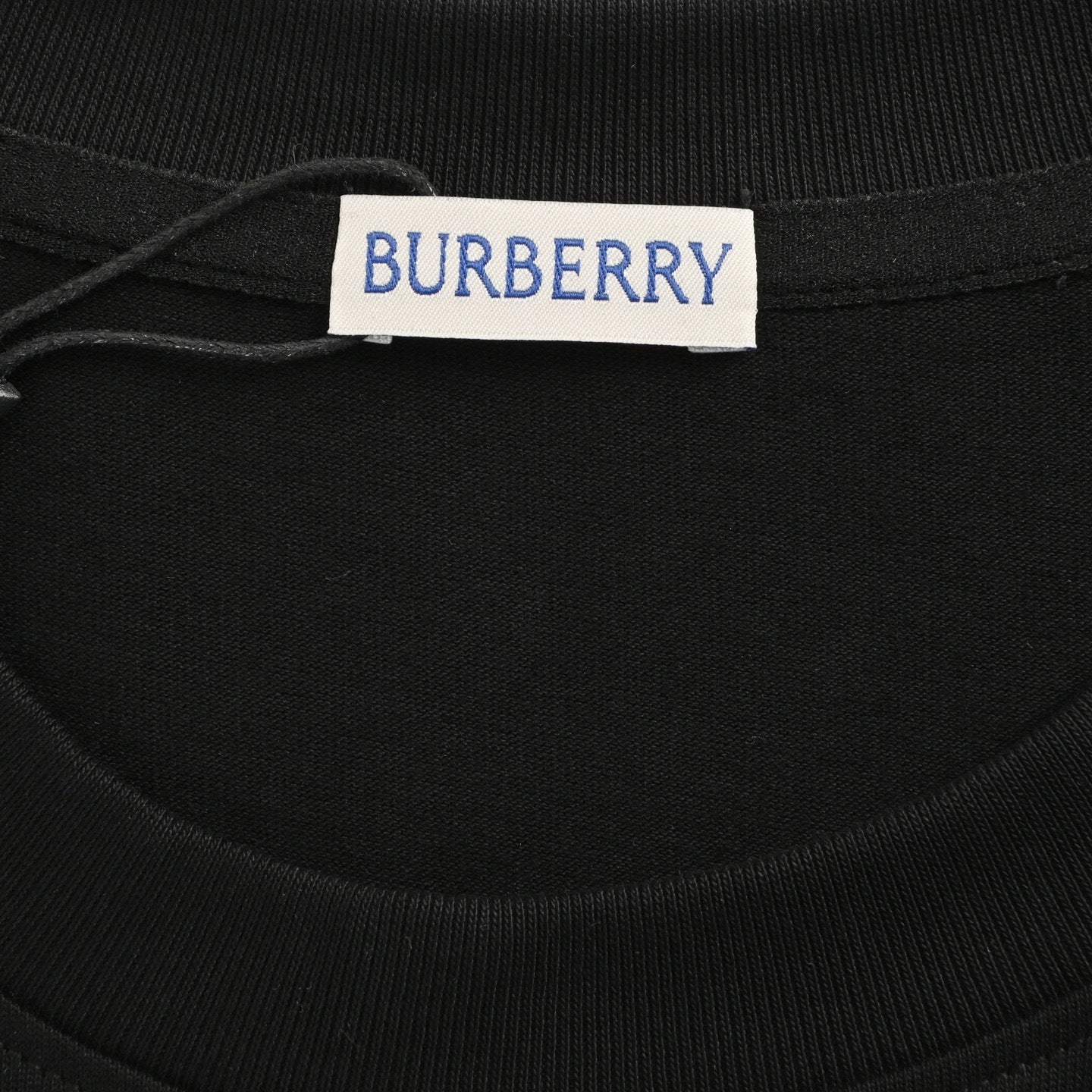 Collar Knight Warhorse Print T-shirt