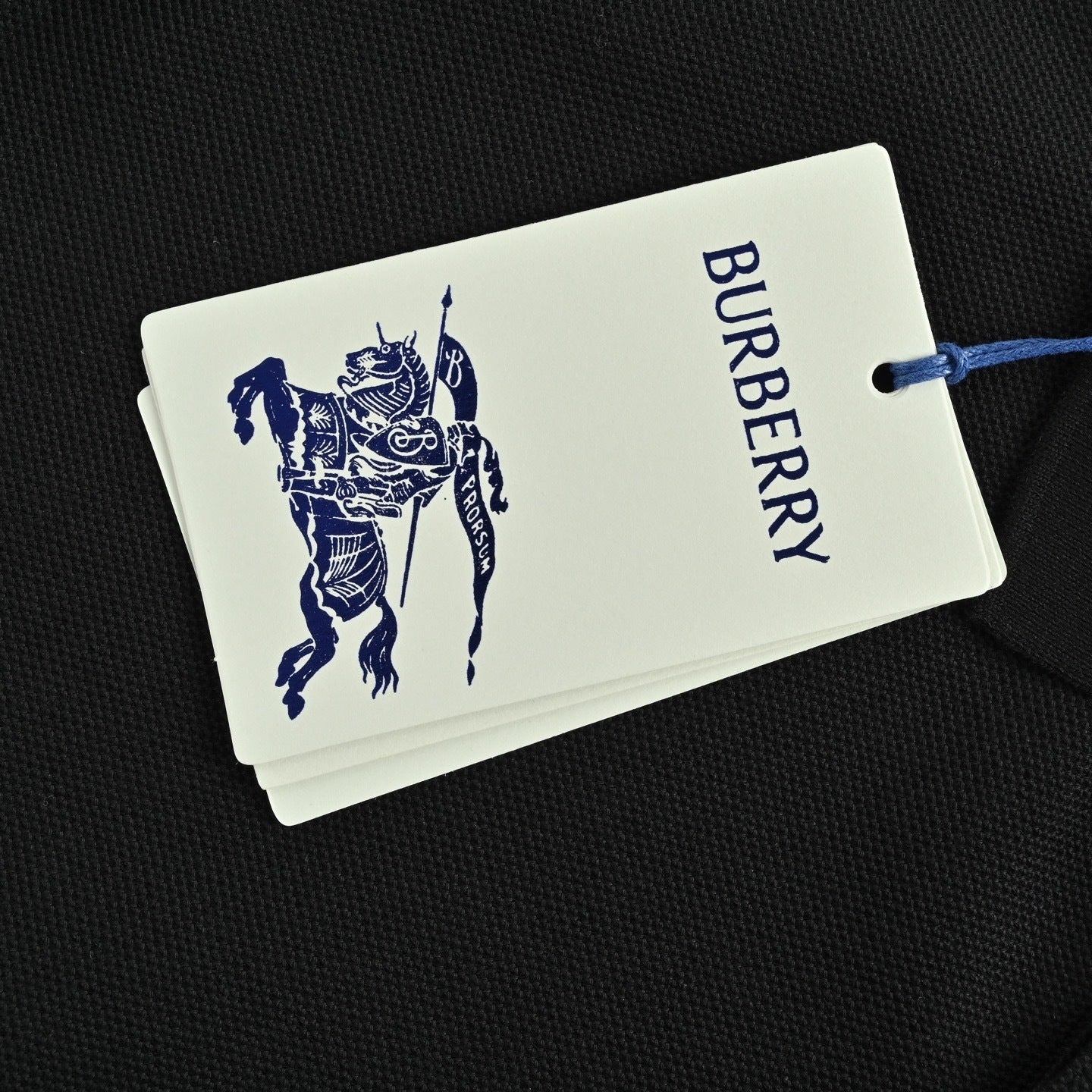 Cursive Signature Embroidered Polo Shirt