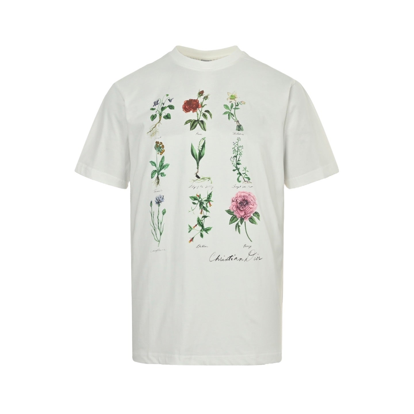 Botanical Specimen Print Short Sleeve T-Shirt