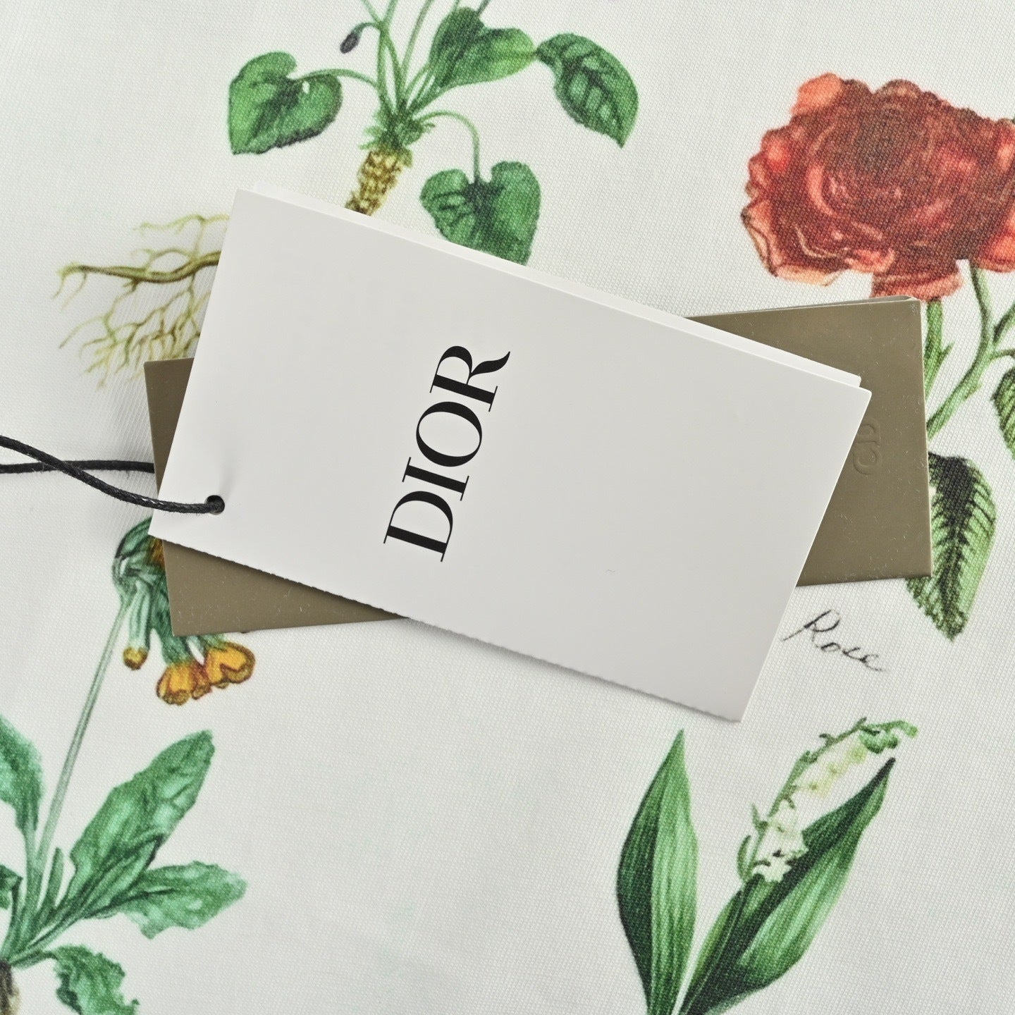 Botanical Specimen Print Short Sleeve T-Shirt