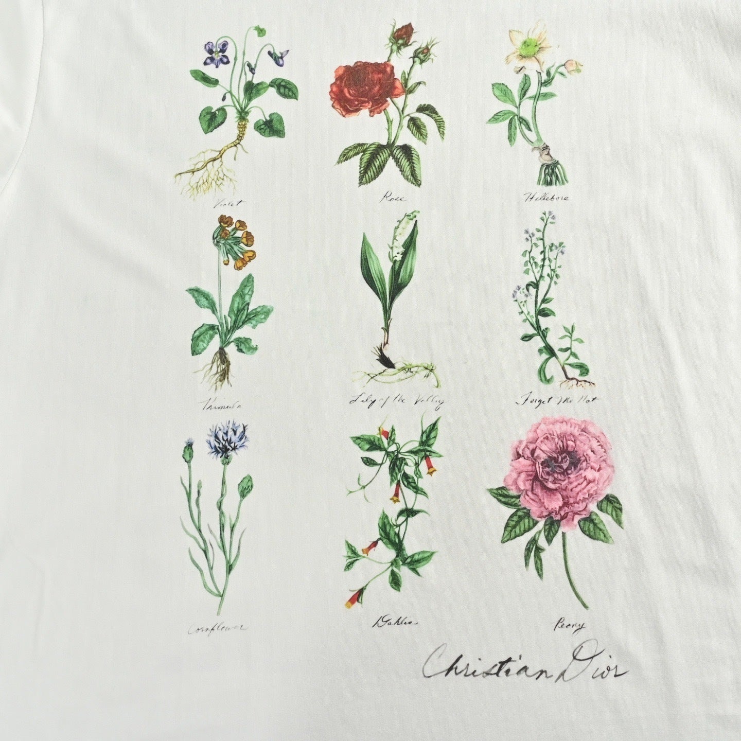 Botanical Specimen Print Short Sleeve T-Shirt