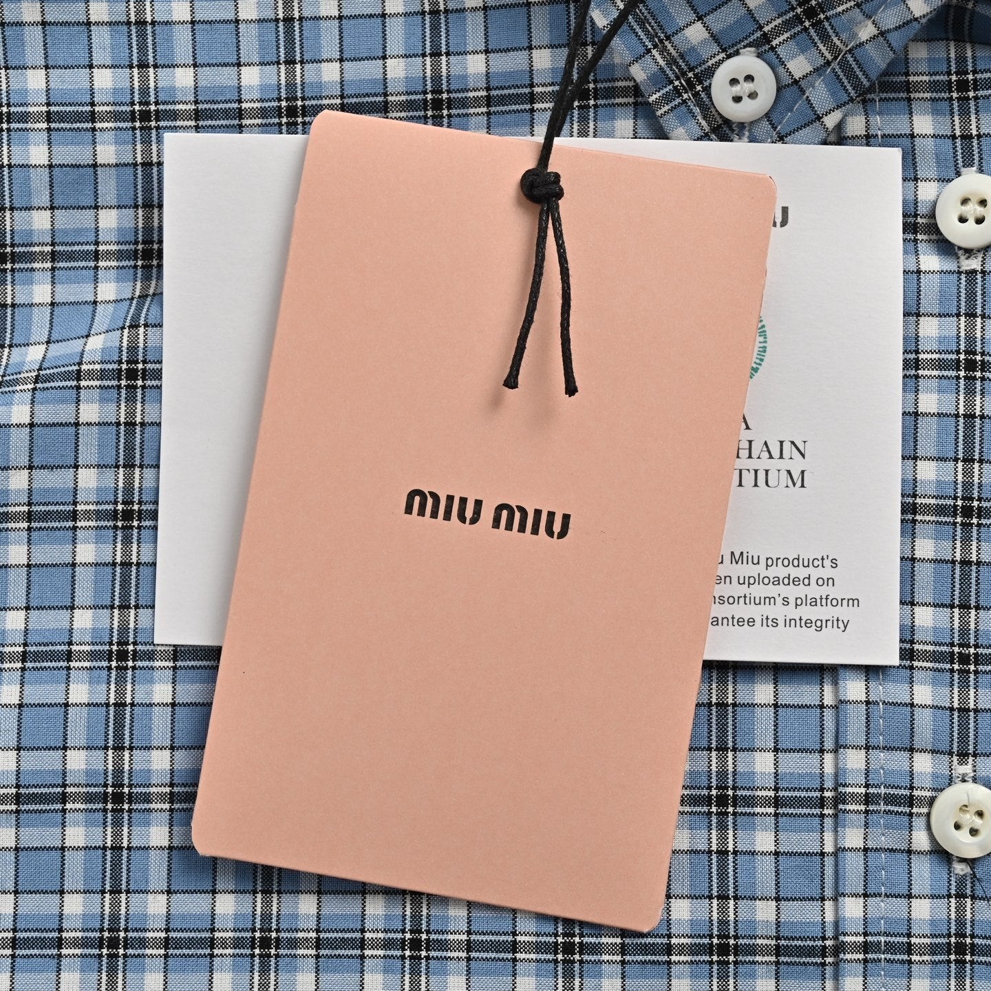 Embroidered Small Check Plaid Shirt